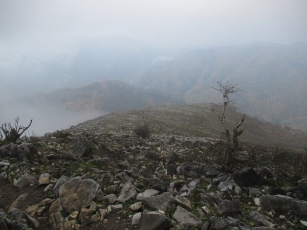 登山道